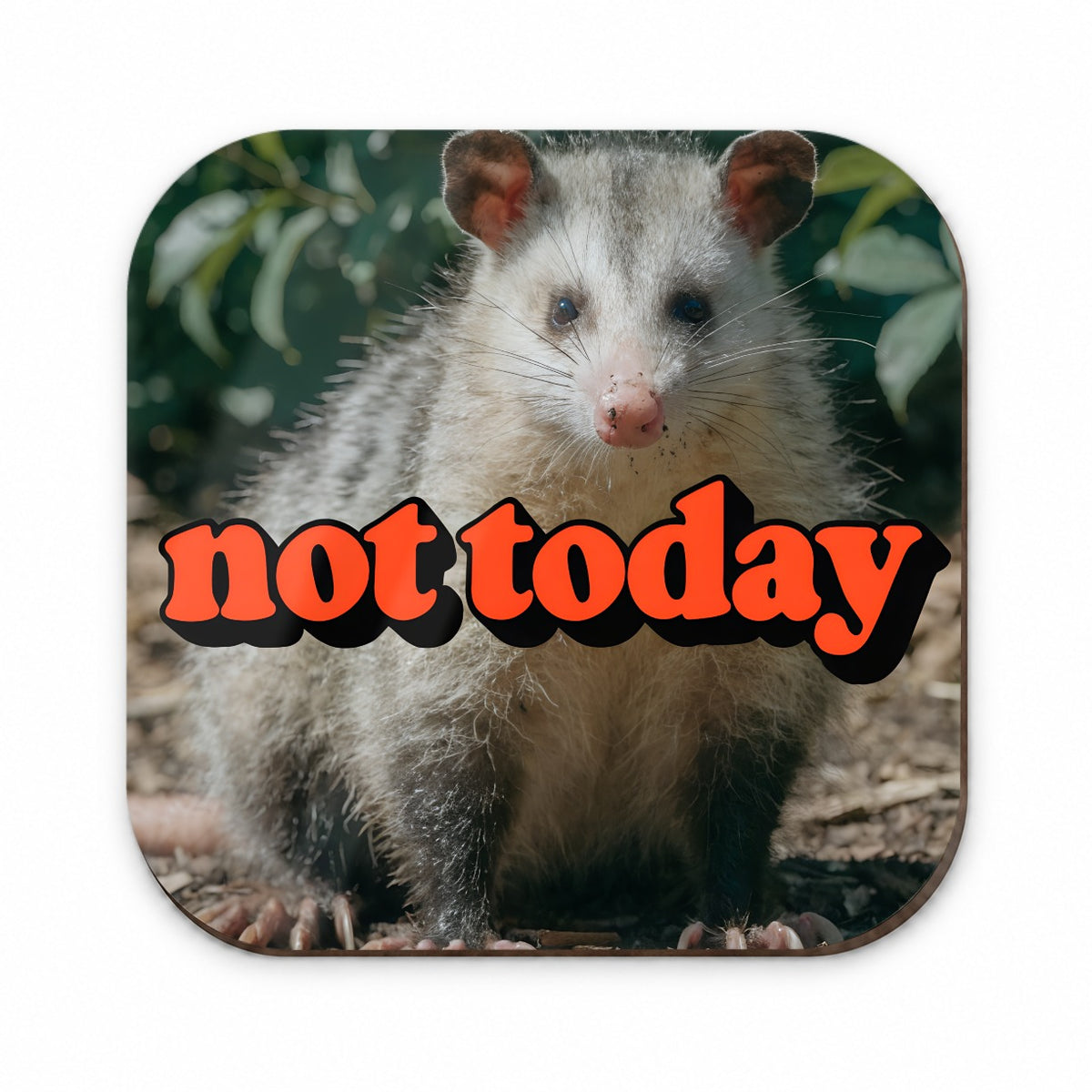 Not Today Opossum Funny Fridge Magnet