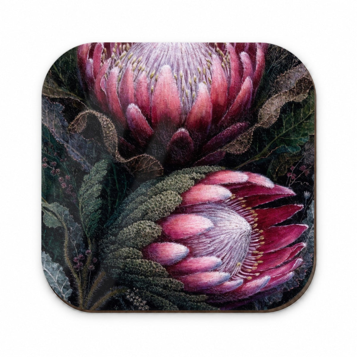 Pink Protea Botanical Fridge Magnet