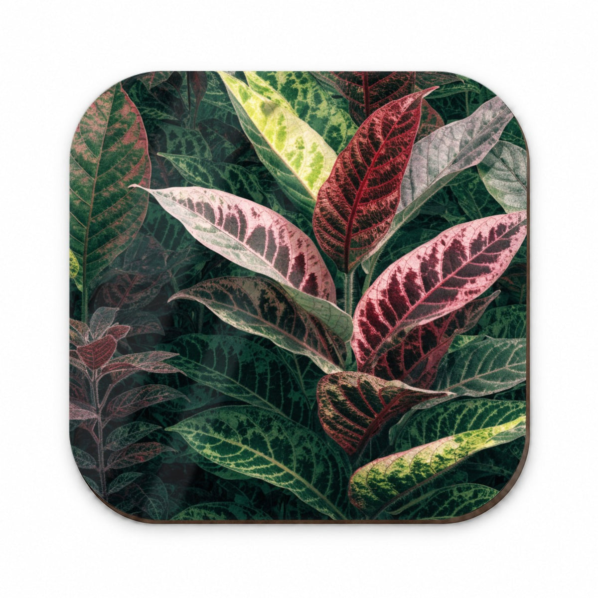 Prayer Plant Colorful Leaves Fridge Magnet