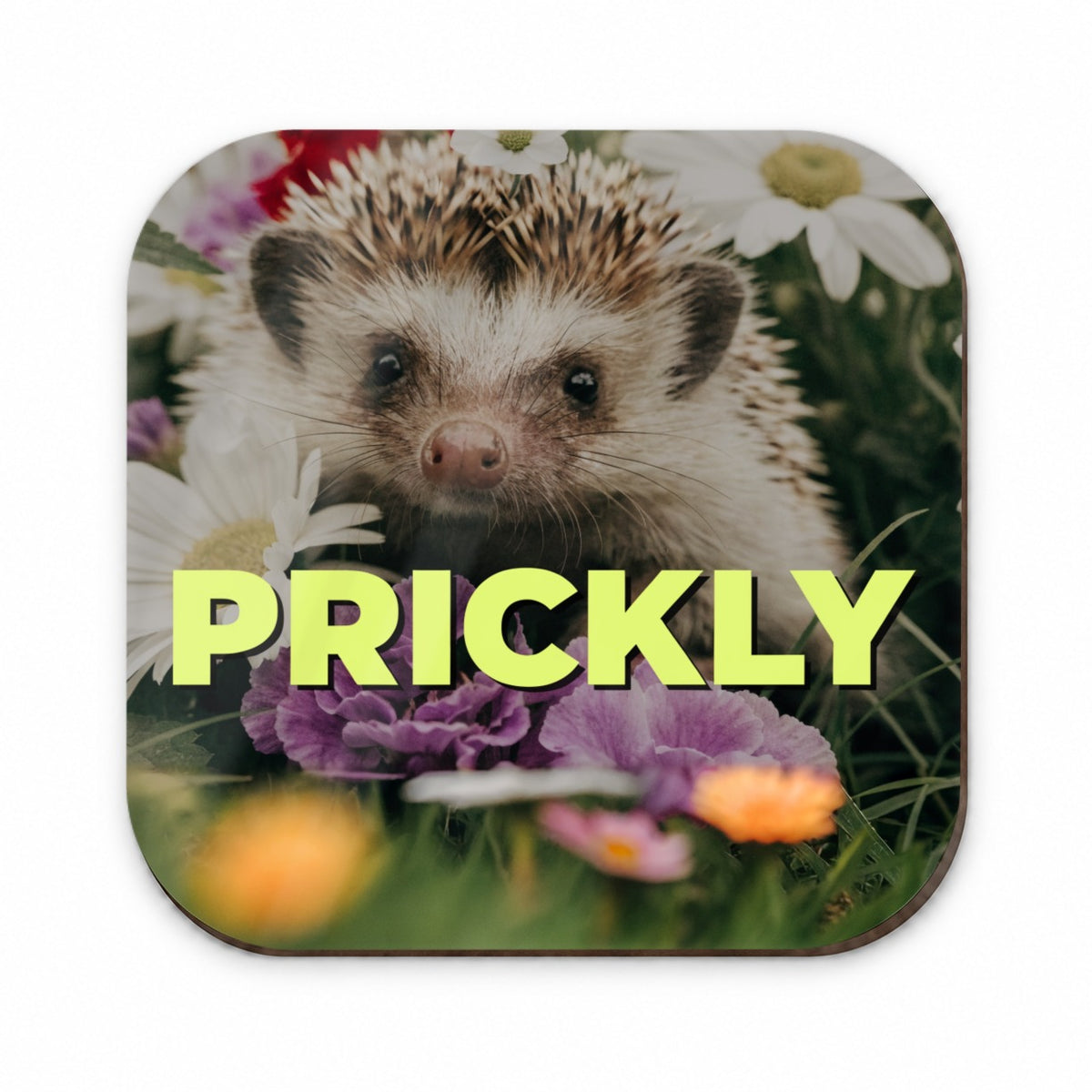 Prickly Hedgehog Adorable Funny Fridge Magnet