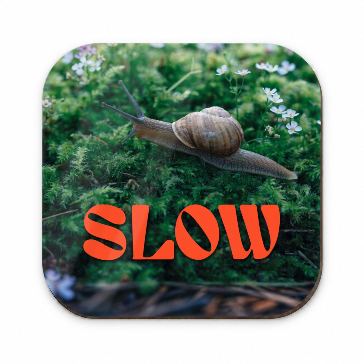 Slow Snail Funny Fridge Magnet