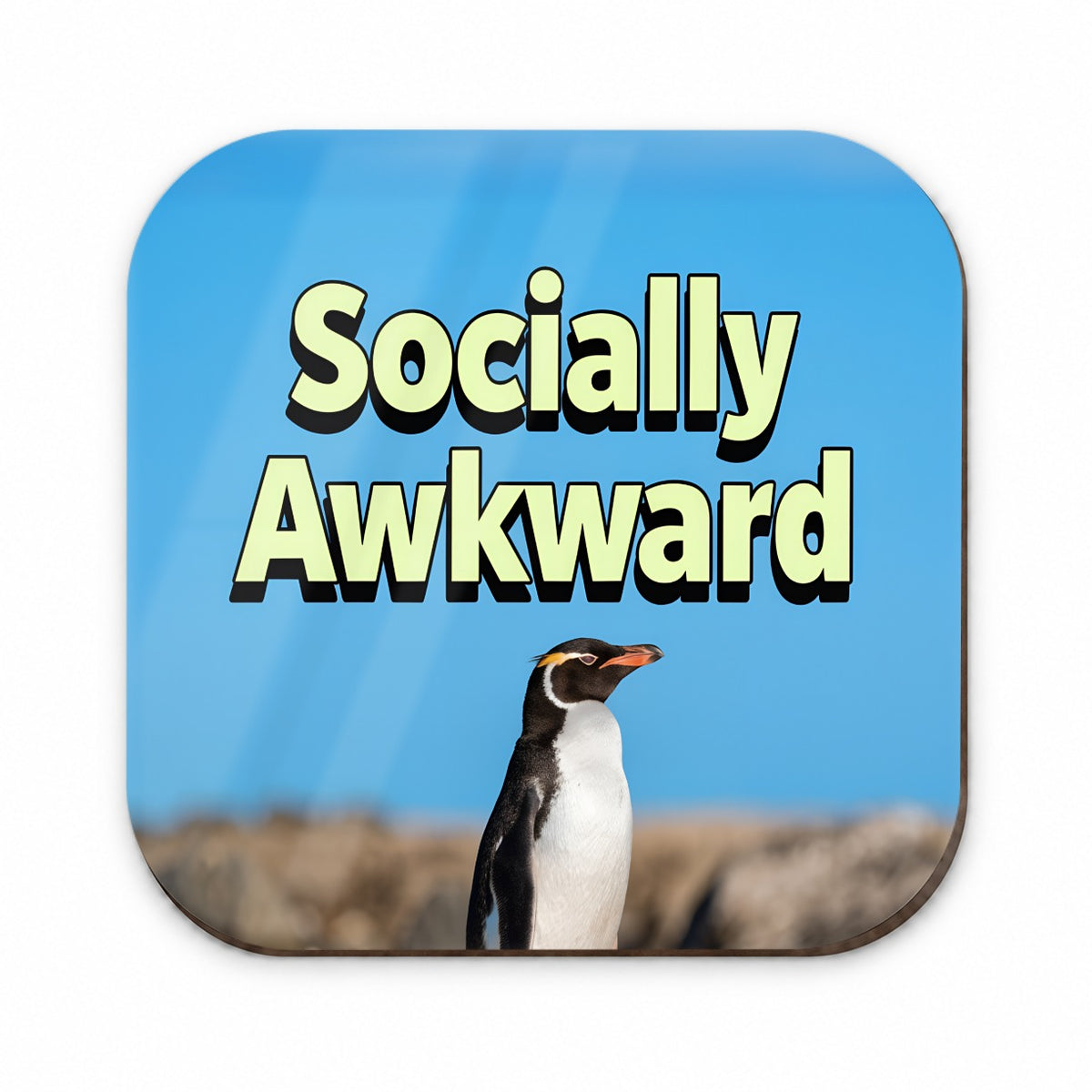 Socially Awkward Penguin Funny Fridge Magnet