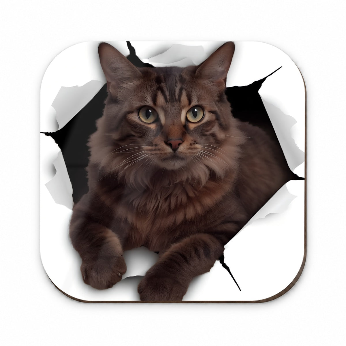 Somali Cat Breakout Fridge Magnet
