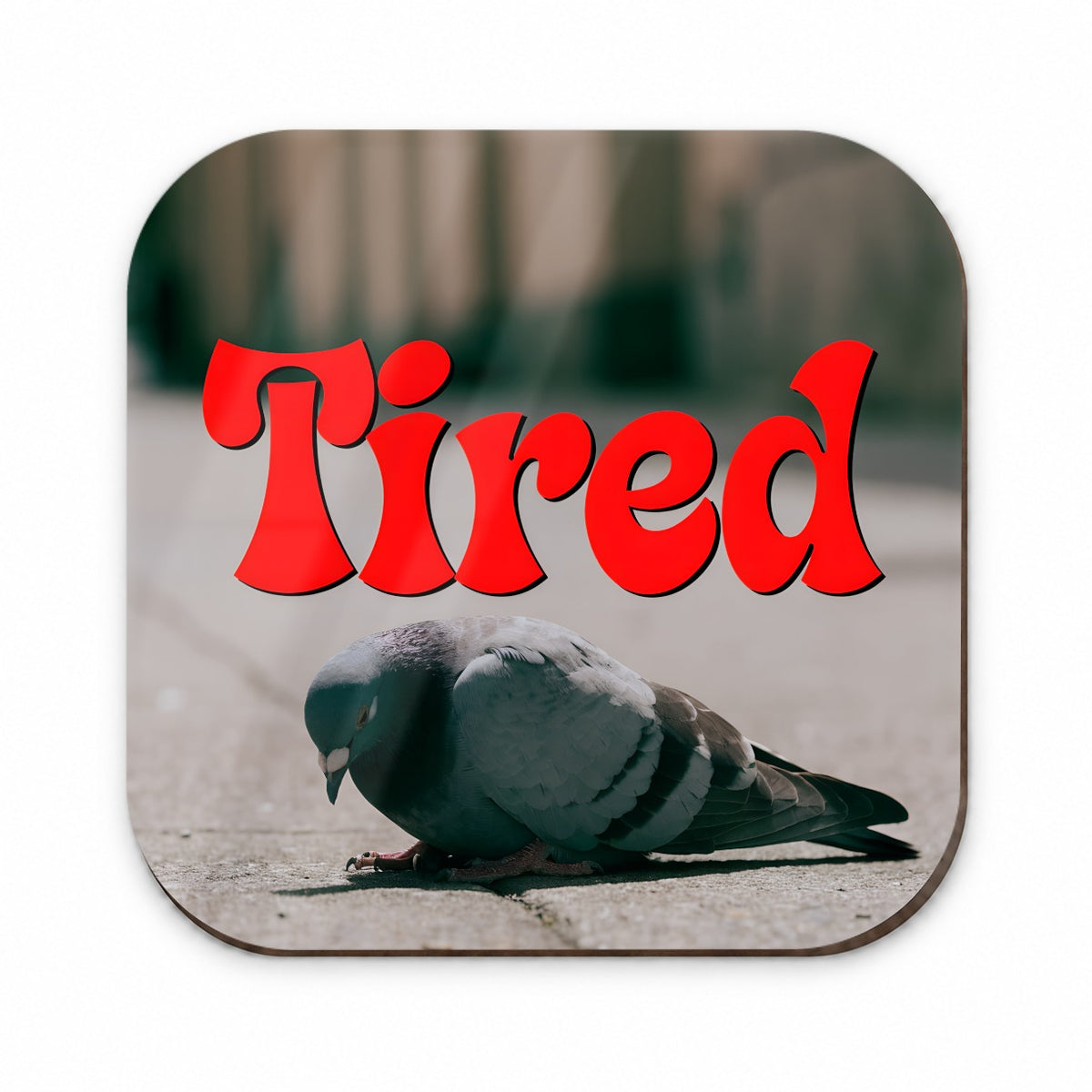 Tired Pigeon Funny Fridge Magnet