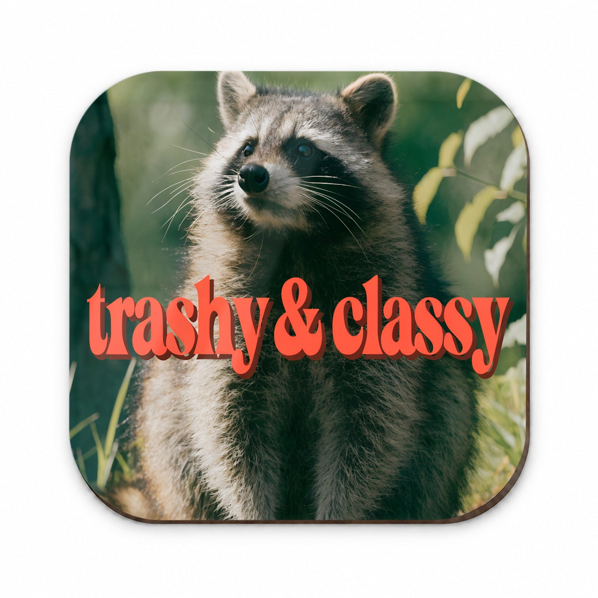 Trashy & Classy Raccoon Funny Fridge Magnet