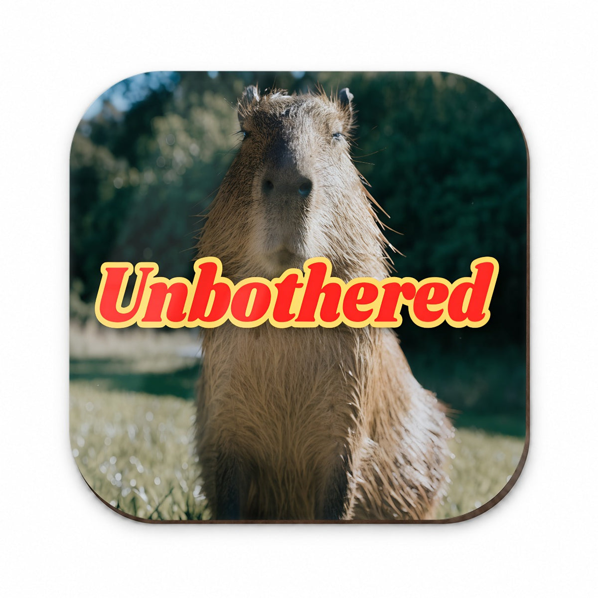 Unbothered Capybara Funny Fridge Magnet
