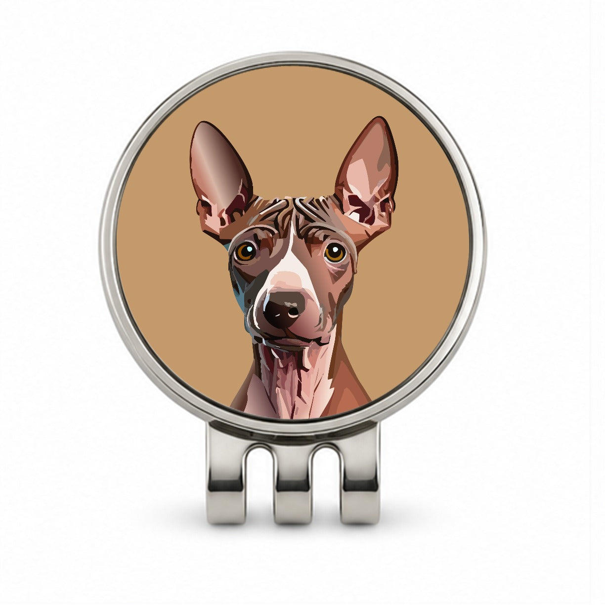 American Hairless Terrier Staring Golf Hat Clip with Ball Marker