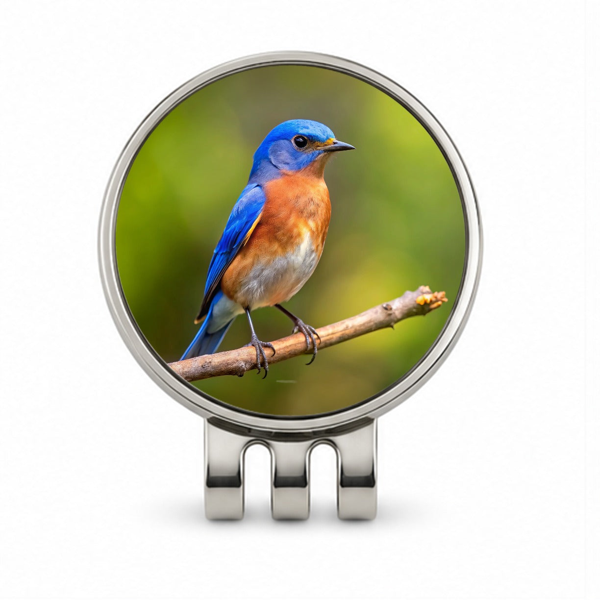 Eastern Bluebird Backyard Bird Golf Hat Clip with Ball Marker