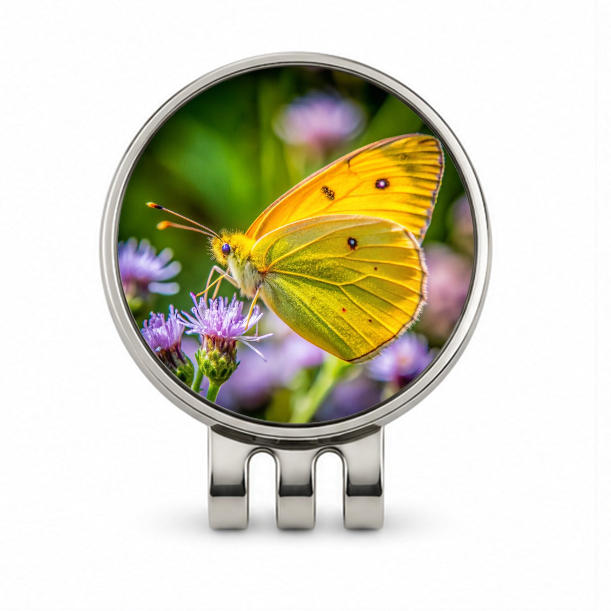 Orange Sulphur Butterfly Golf Hat Clip with Ball Marker