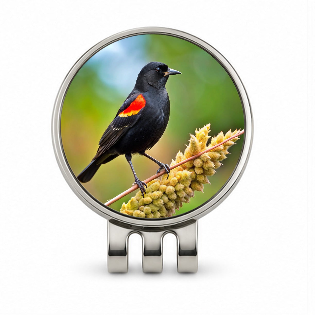 Red Winged Blackbird Backyard Bird Golf Hat Clip with Ball Marker