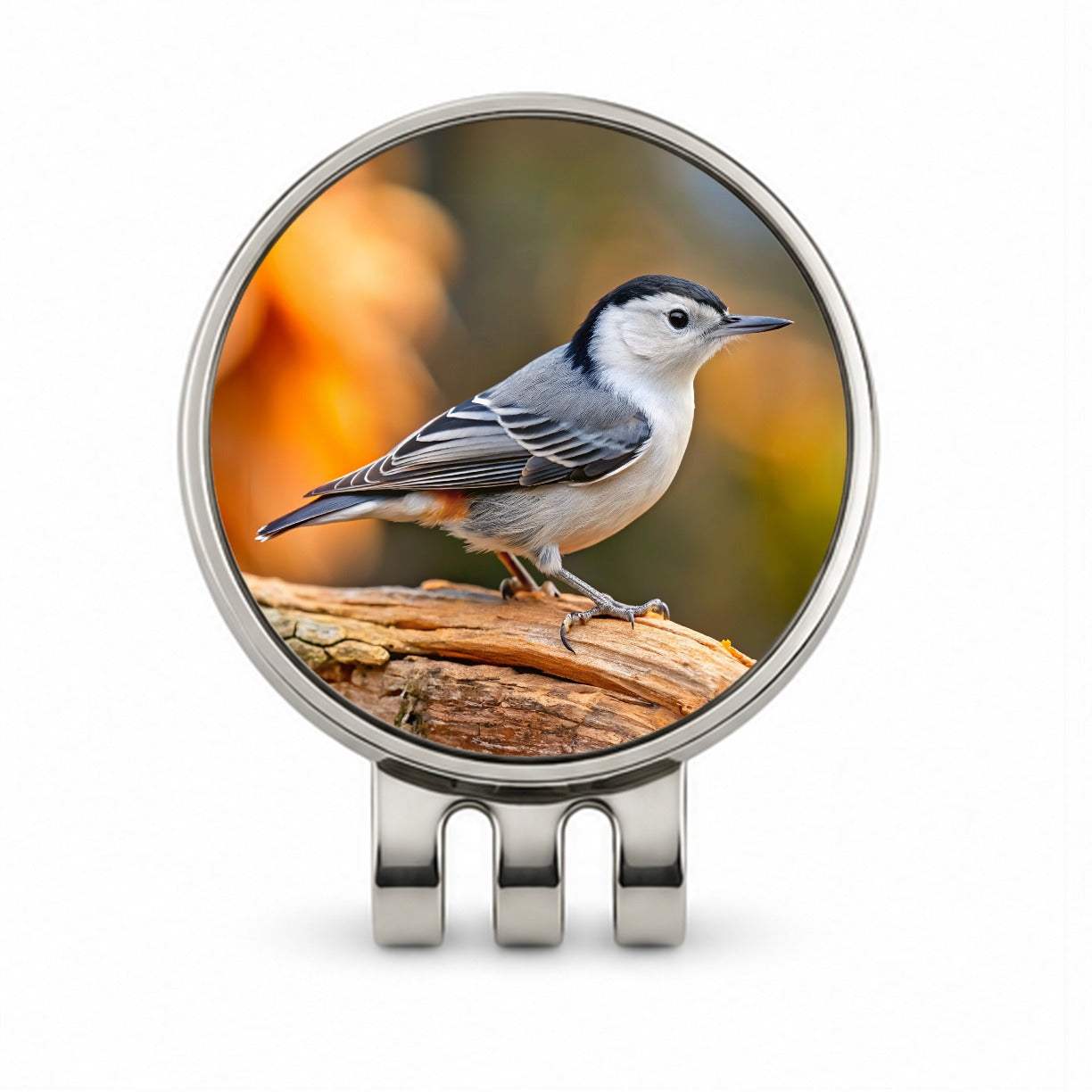 White Breasted Nuthatch Backyard Bird Golf Hat Clip with Ball Marker