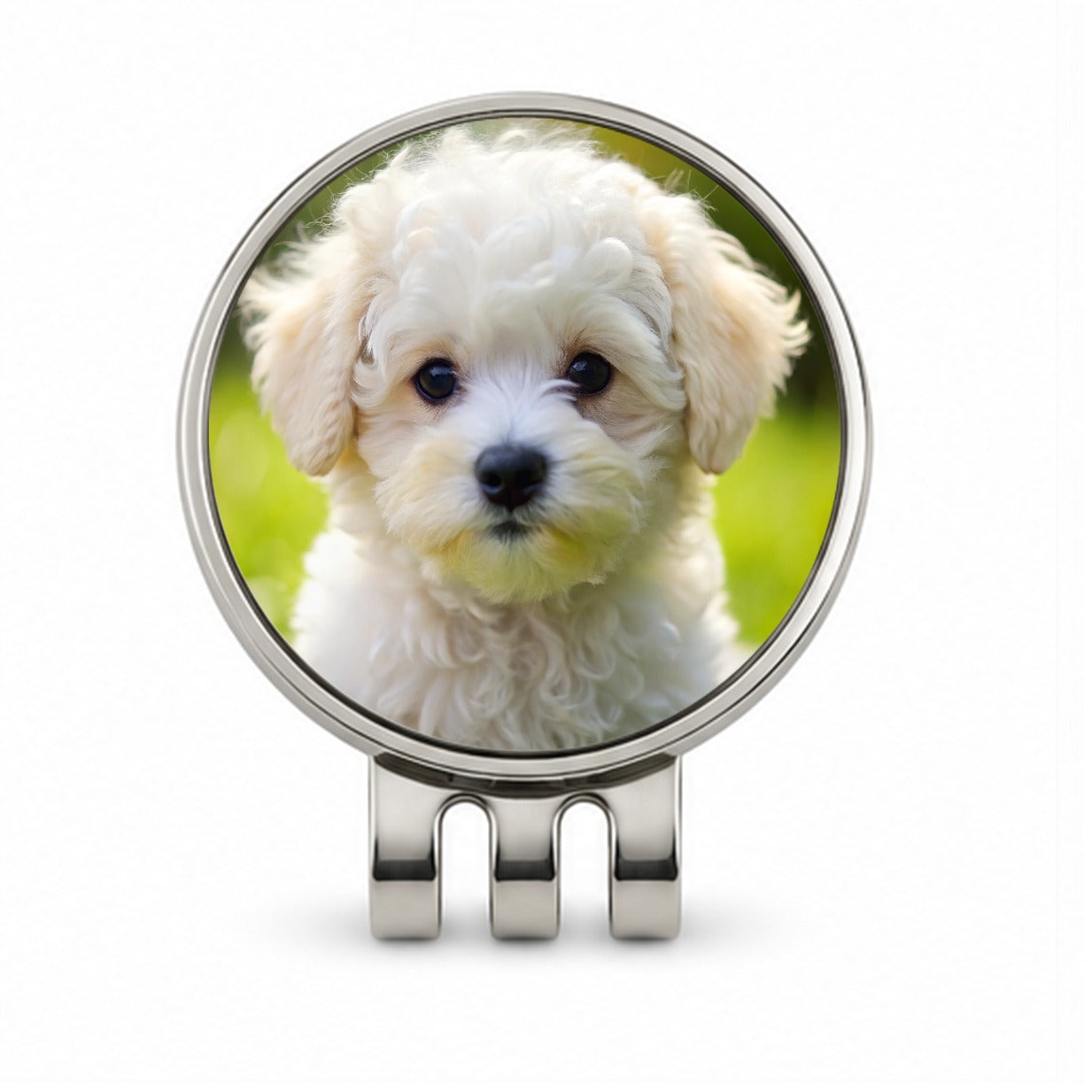 Bichon Frise Dog Puppy Photo Golf Hat Clip with Ball Marker
