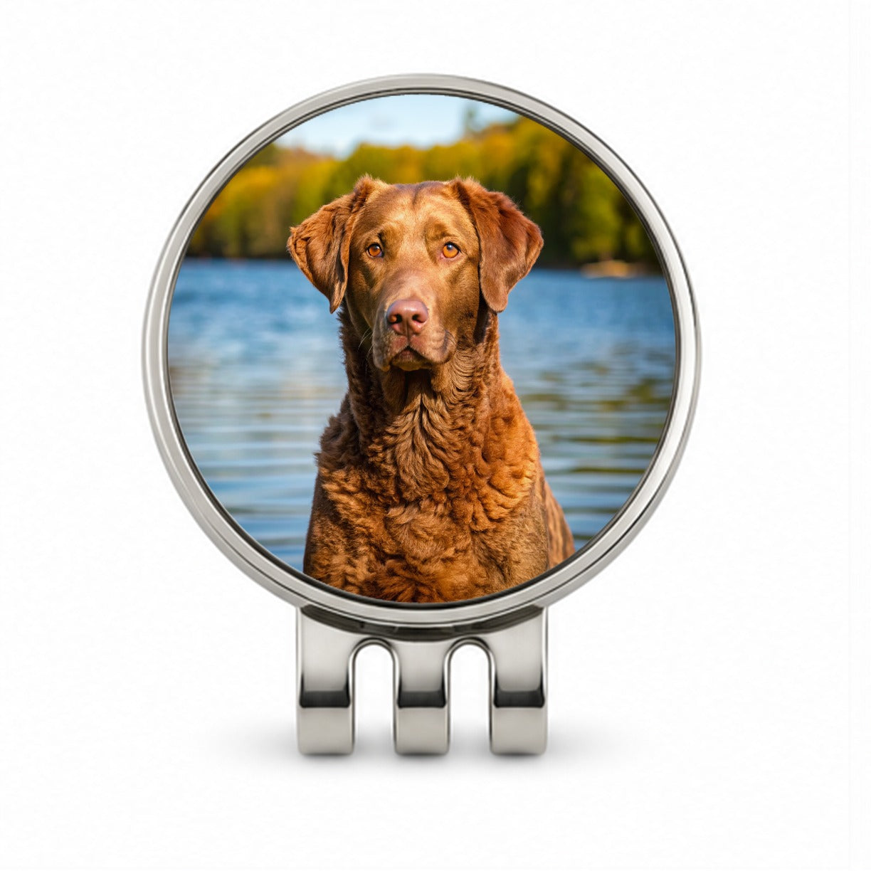 Chesapeake Bay Retriever Dog Photo Golf Hat Clip with Ball Marker