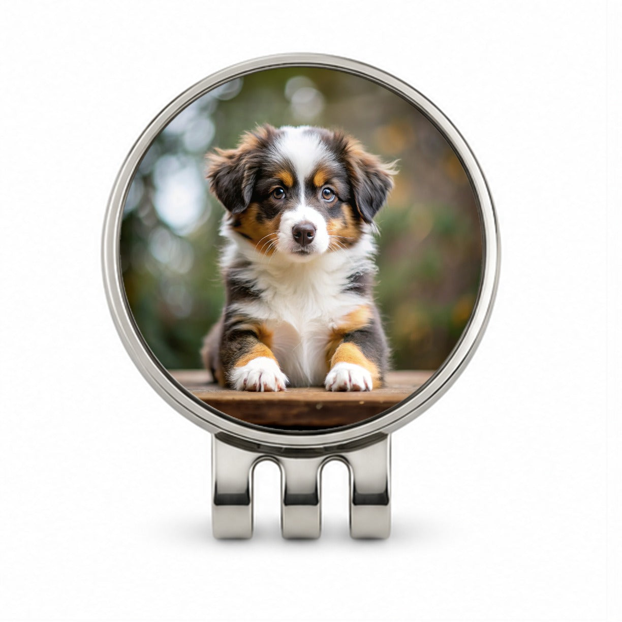 Miniature American Shepherd Dog Puppy Photo Golf Hat Clip with Ball Marker