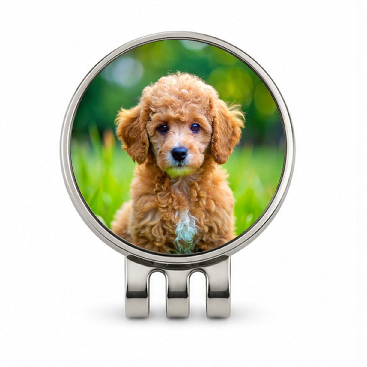 Poodle Dog Puppy Photo Golf Hat Clip with Ball Marker