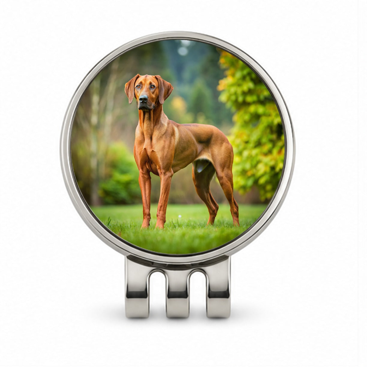Rhodesian Ridgeback Dog Photo Golf Hat Clip with Ball Marker