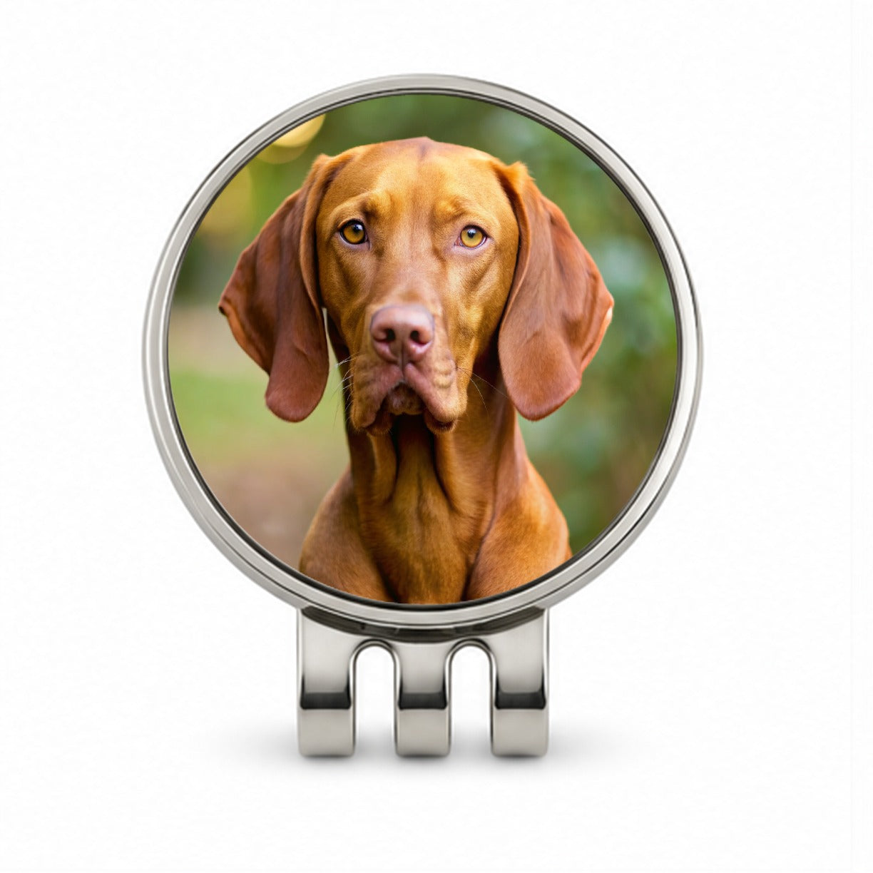 Vizsla Dog Photo Golf Hat Clip with Ball Marker