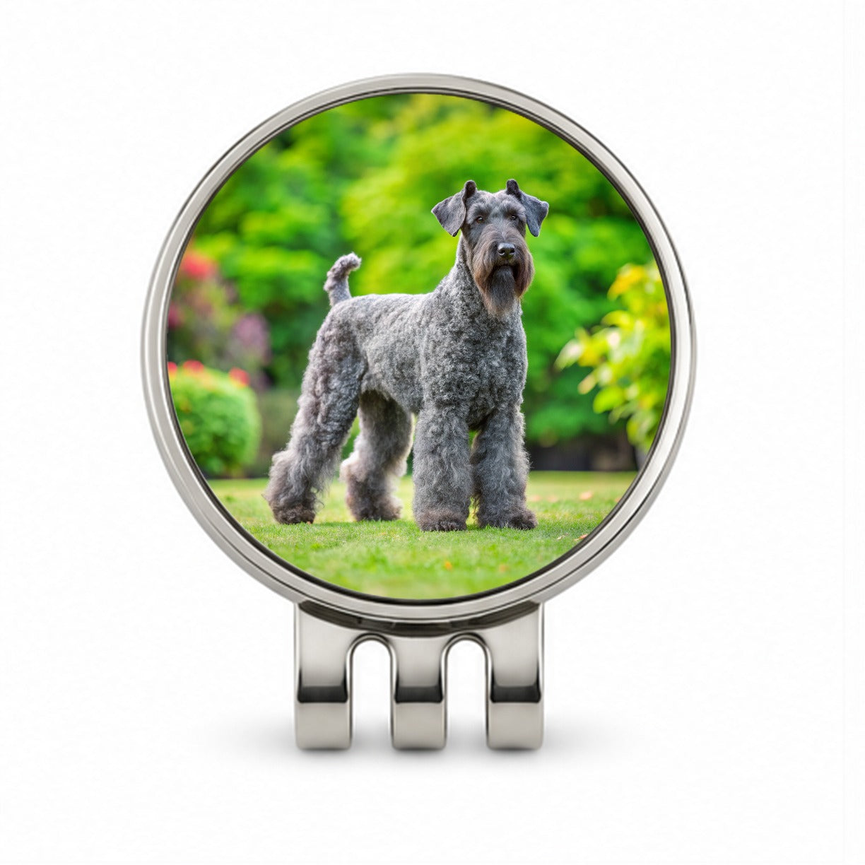 Kerry Blue Terrier Dog Photo Golf Hat Clip with Ball Marker