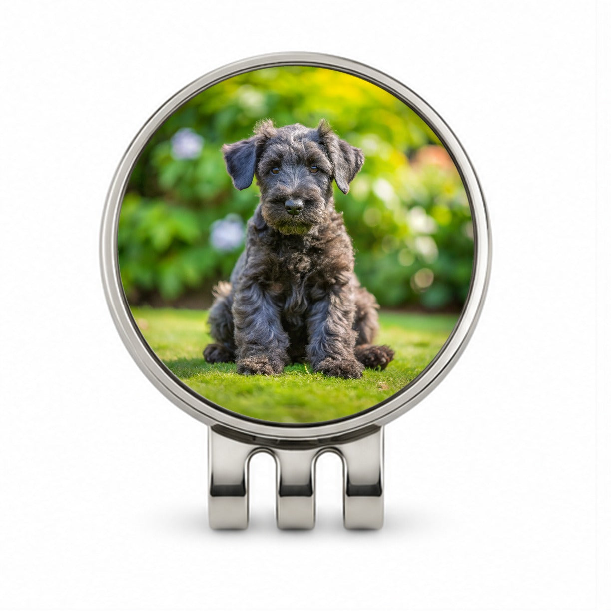 Kerry Blue Terrier Dog Puppy Photo Golf Hat Clip with Ball Marker