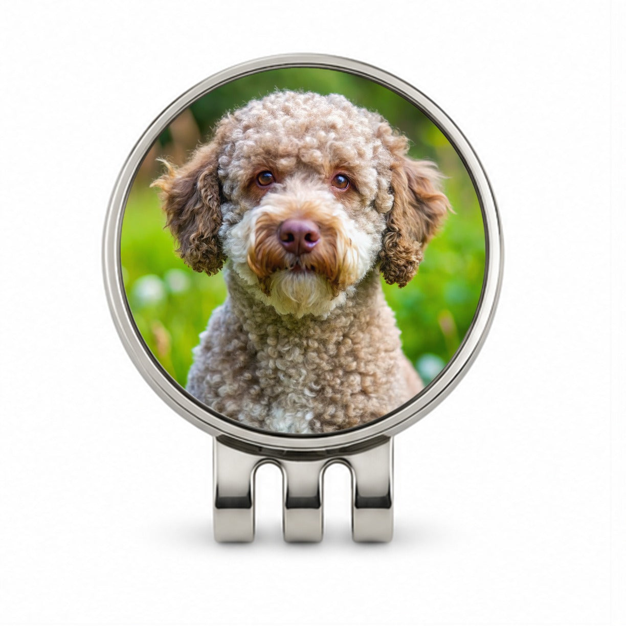 Lagotto Romagnolo Dog Photo Golf Hat Clip with Ball Marker