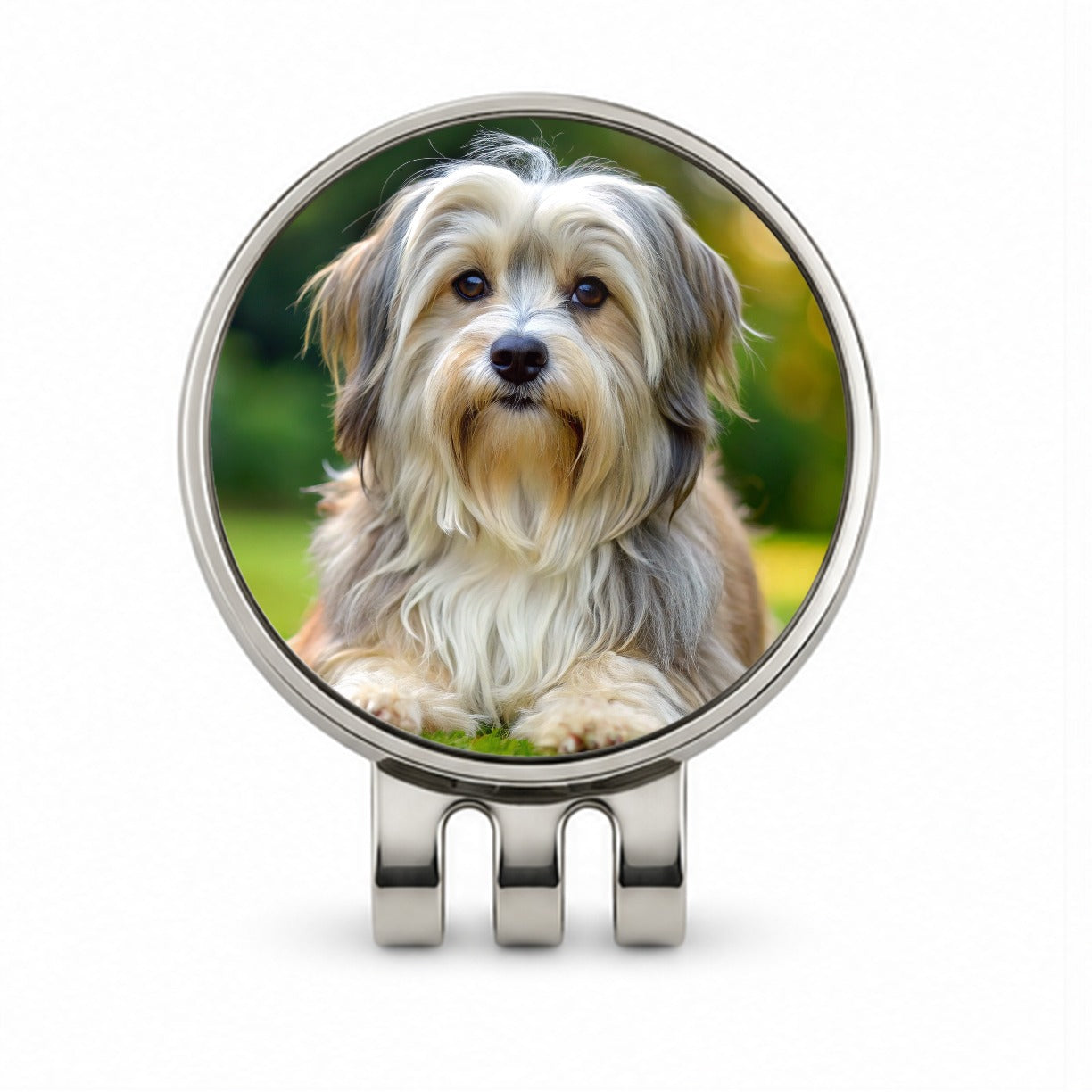 Lowchen Little Lion Dog Photo Golf Hat Clip with Ball Marker