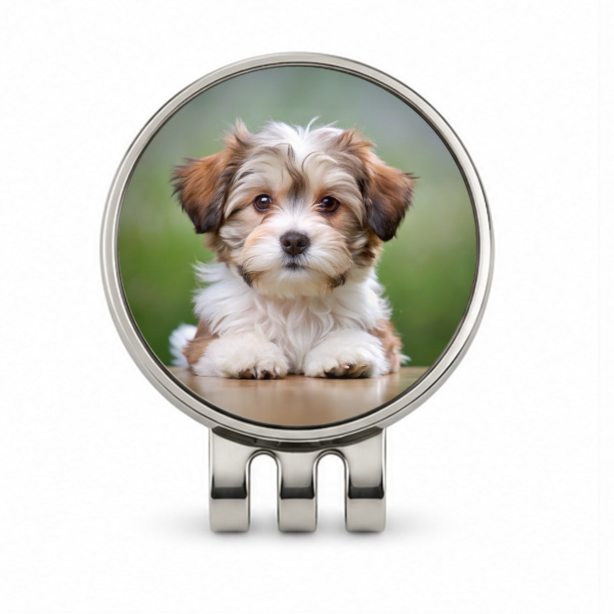 Lowchen Little Lion Dog Puppy Photo Golf Hat Clip with Ball Marker