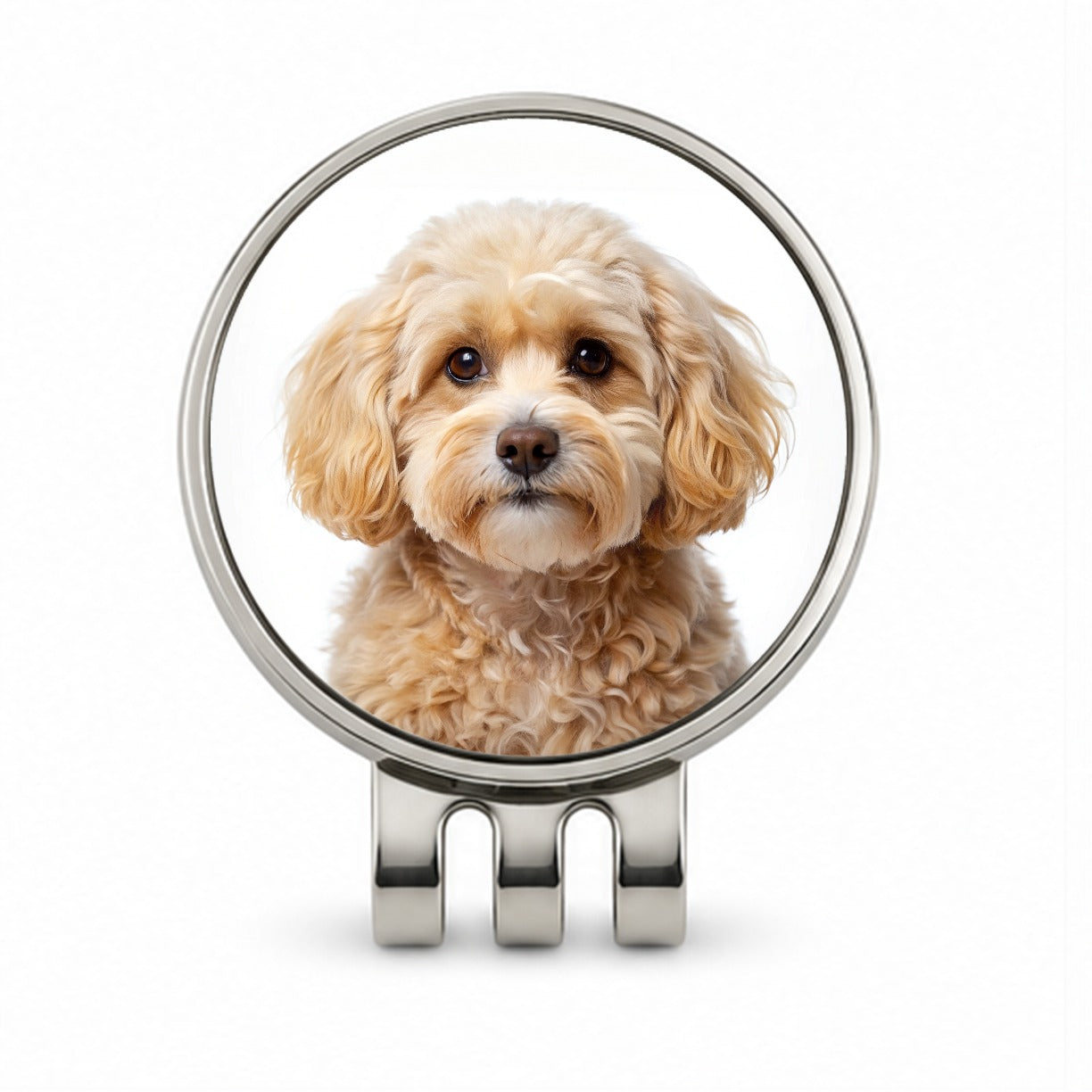 Maltipoo Dog Photo Golf Hat Clip with Ball Marker