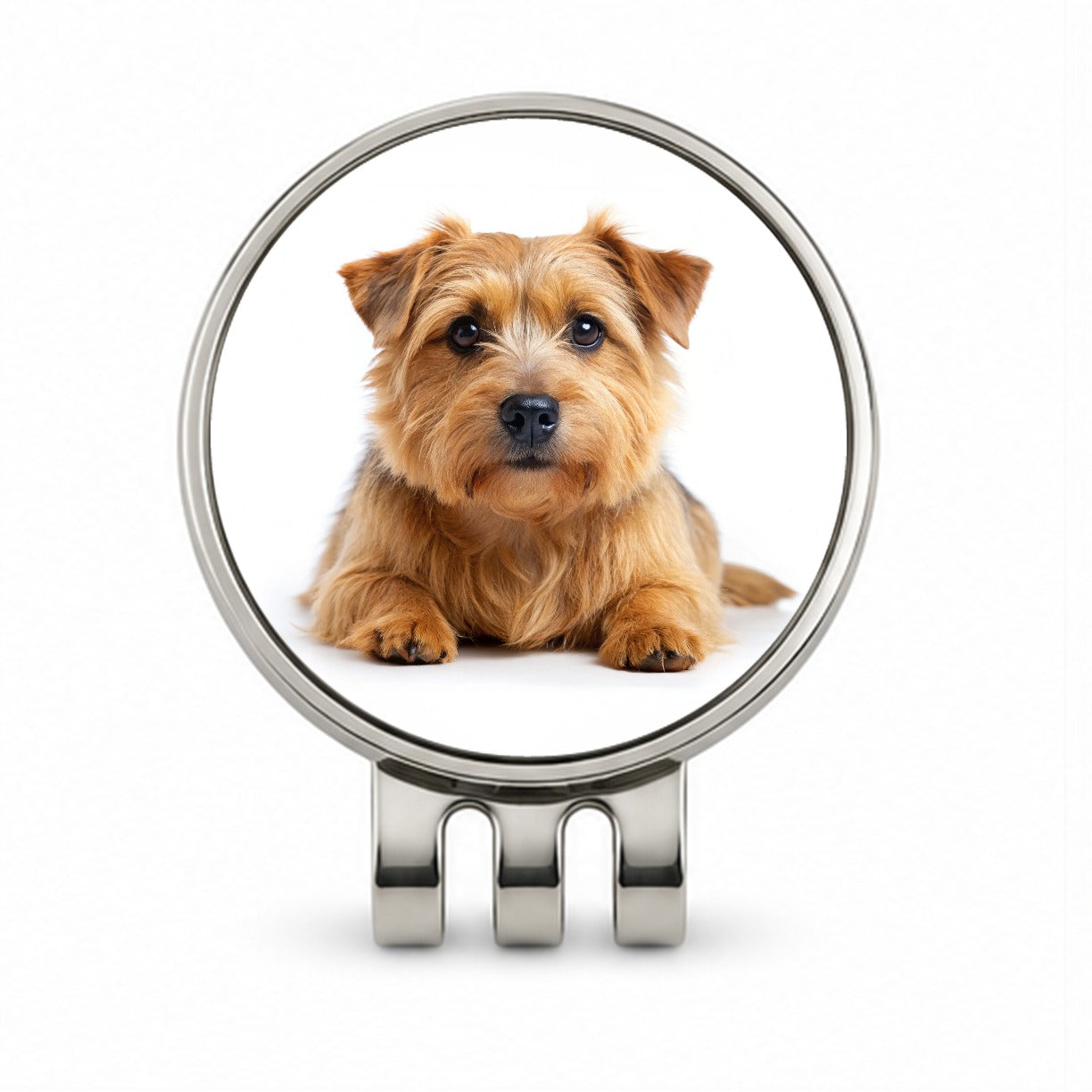 Norfolk Terrier Dog Photo Golf Hat Clip with Ball Marker