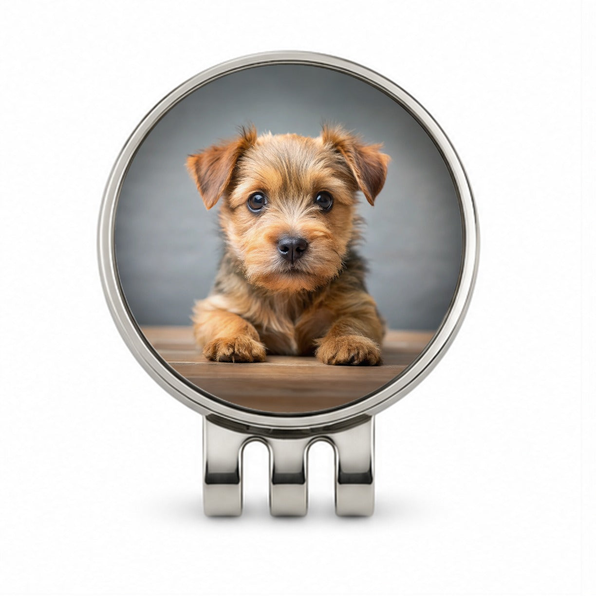 Norfolk Terrier Dog Puppy Photo Golf Hat Clip with Ball Marker