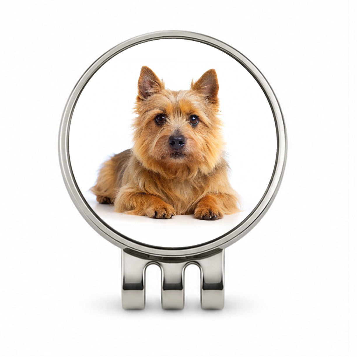 Norwich Terrier Dog Photo Golf Hat Clip with Ball Marker