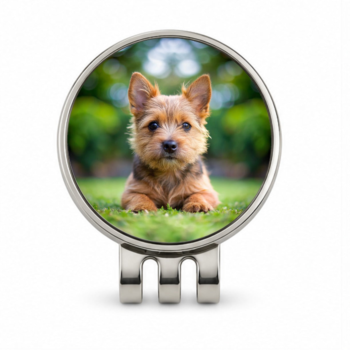 Norwich Terrier Dog Puppy Photo Golf Hat Clip with Ball Marker