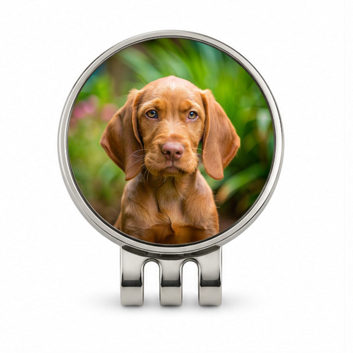 Wirehaired Vizsla Dog Puppy Photo Golf Hat Clip with Ball Marker