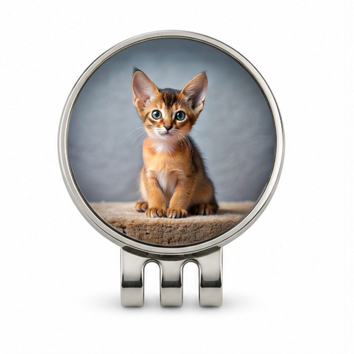 Abyssinian Cat Kitten Photo Golf Hat Clip with Ball Marker