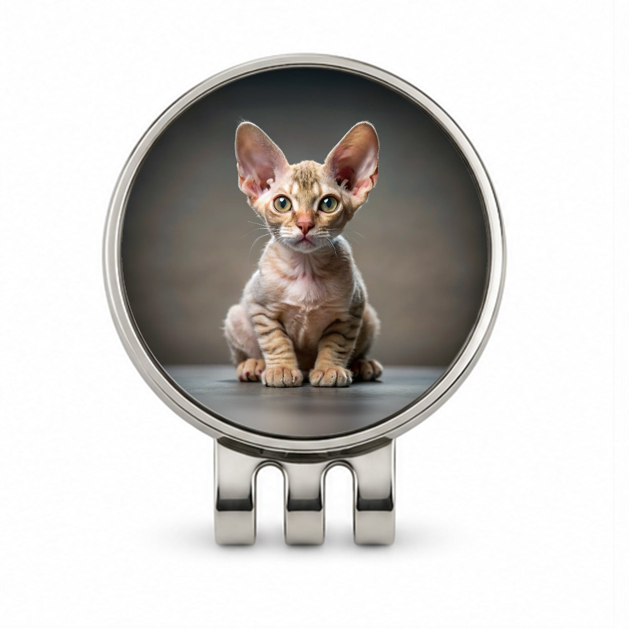 Devon Rex Cat Kitten Photo Golf Hat Clip with Ball Marker