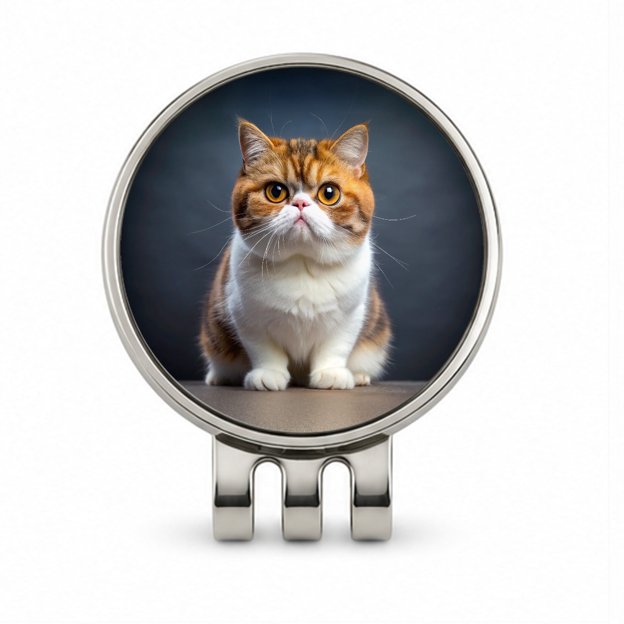 Exotic Shorthair Cat Photo Golf Hat Clip with Ball Marker