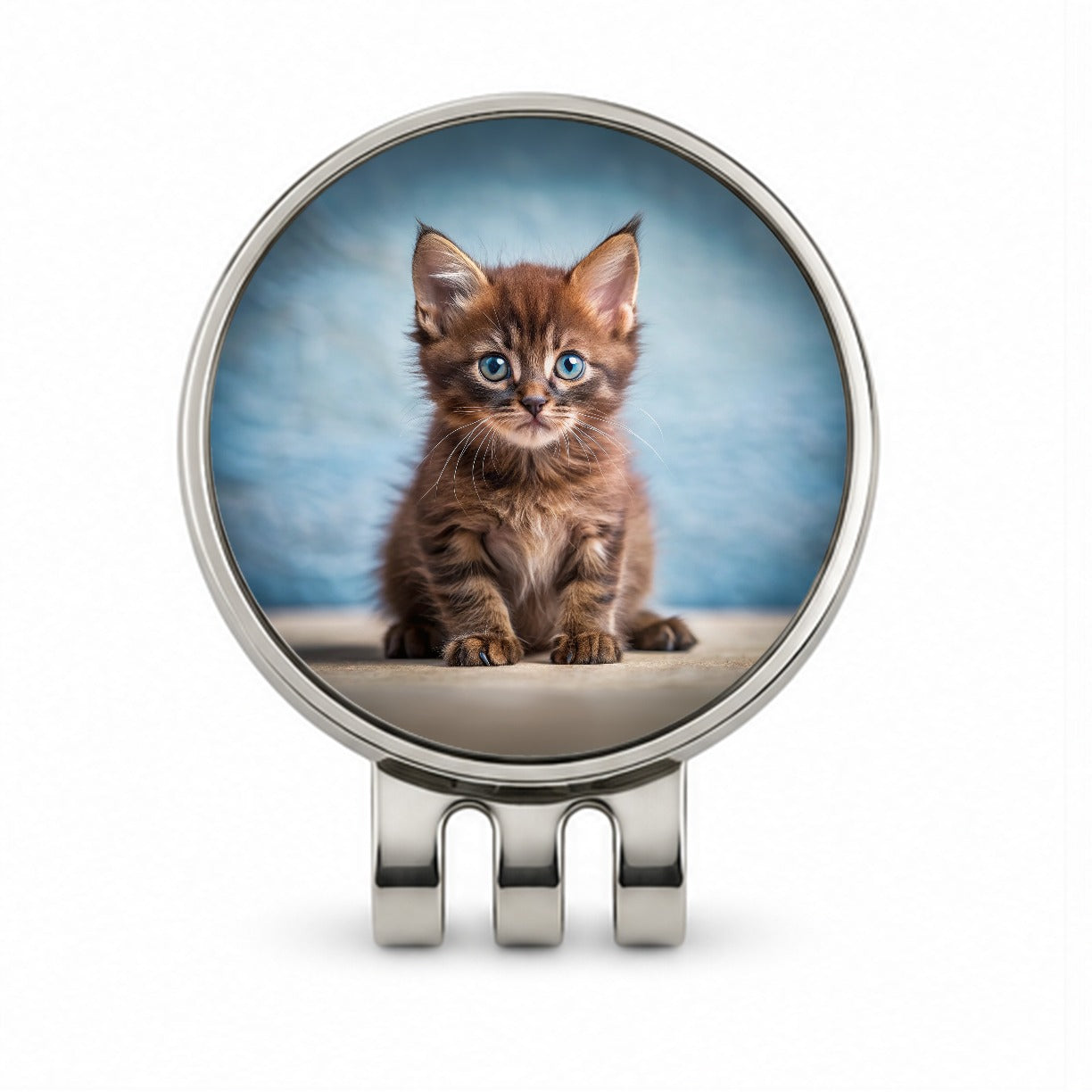 Havana Brown Cat Kitten Photo Golf Hat Clip with Ball Marker