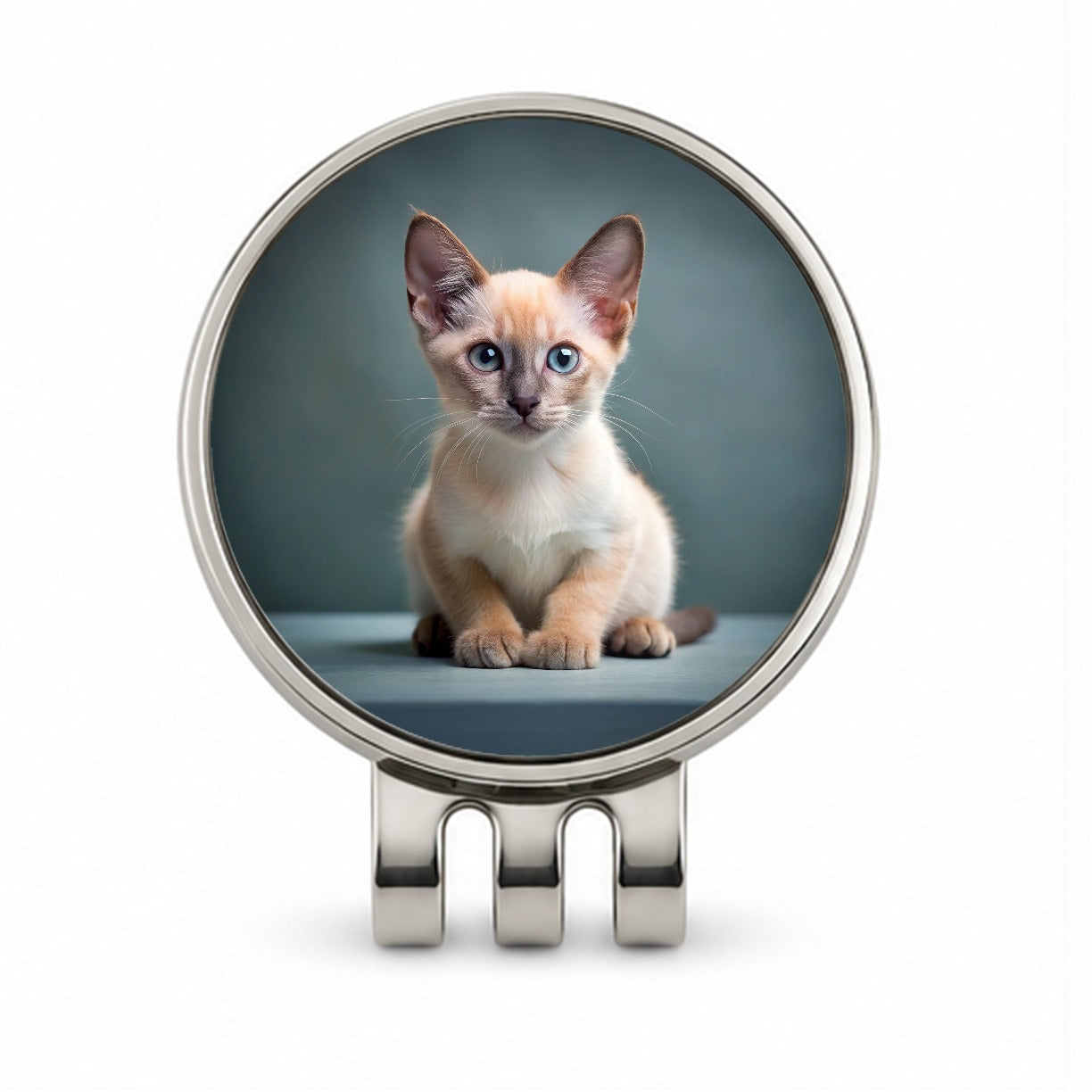Tonkinese Cat Kitten Photo Golf Hat Clip with Ball Marker