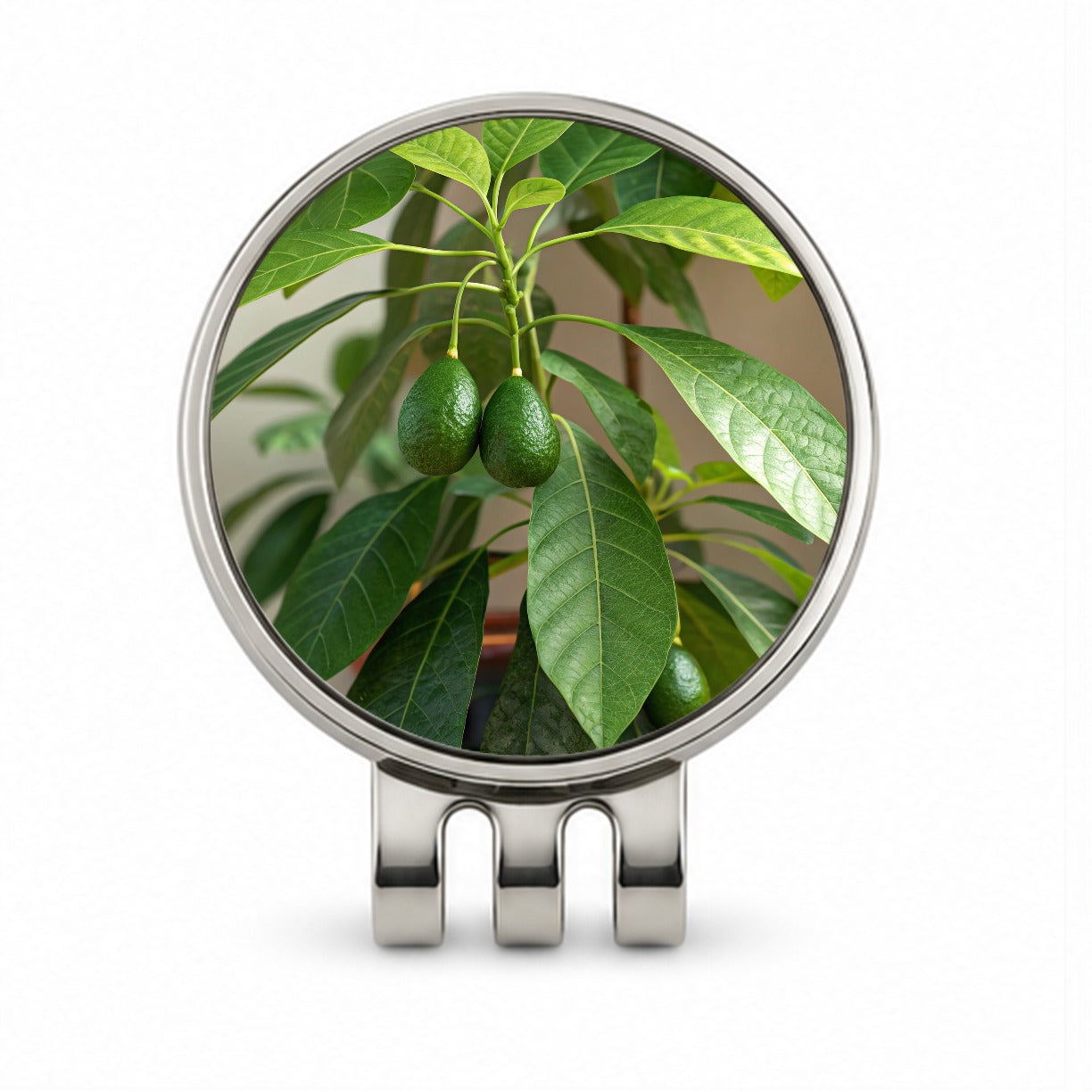 Avocados On Plant Golf Hat Clip with Ball Marker