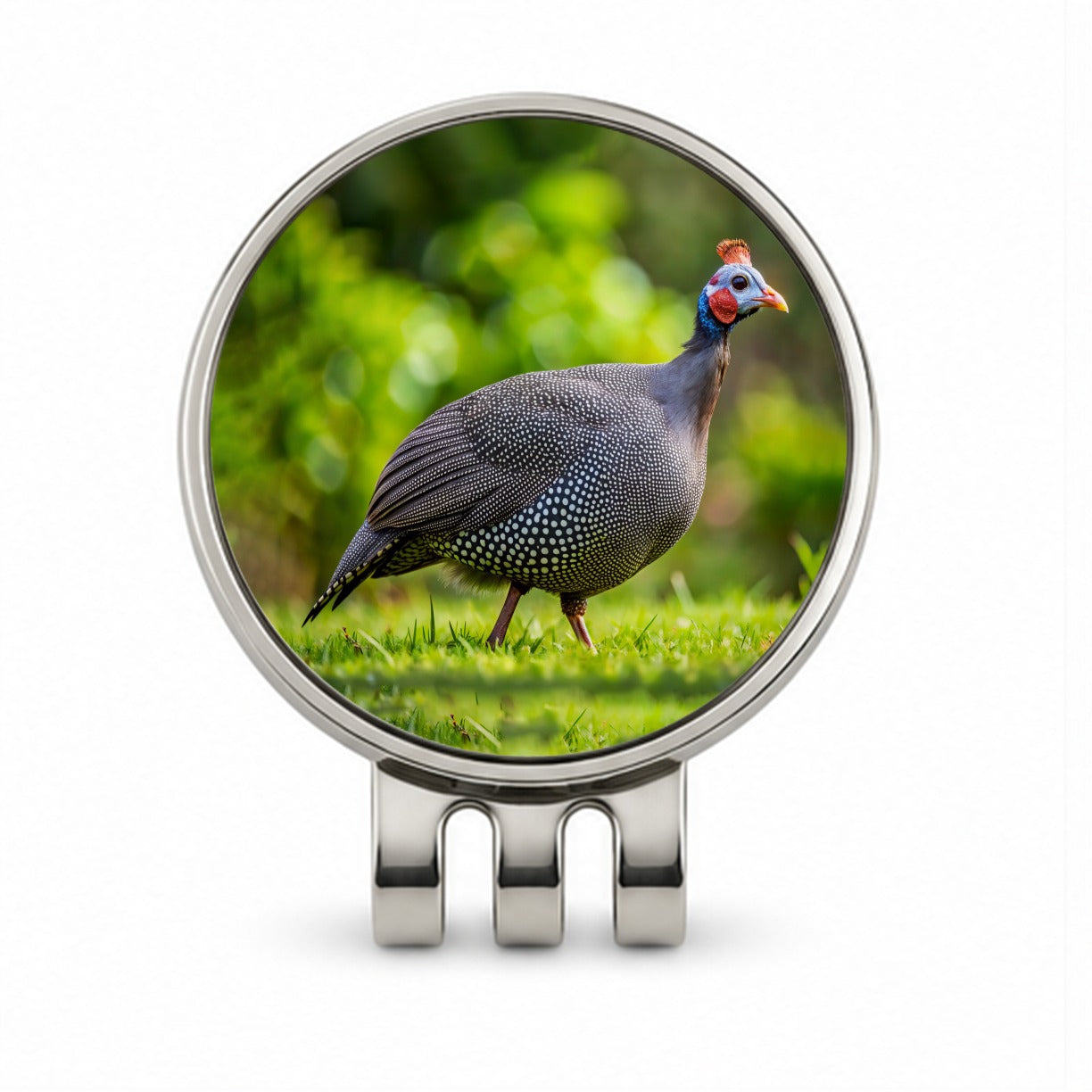 Guinea Fowl Photograph Golf Hat Clip with Ball Marker