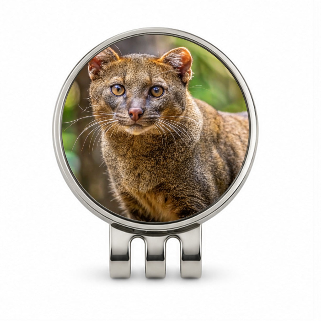 Jaguarundi Otter Cat Photo Golf Hat Clip with Ball Marker