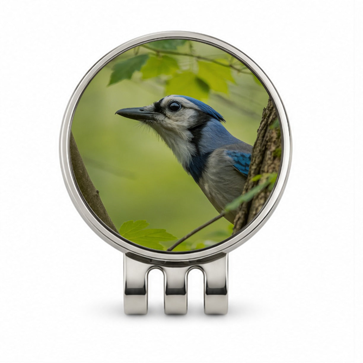 Blue Jay Bird Wildlife Golf Hat Clip with Ball Marker