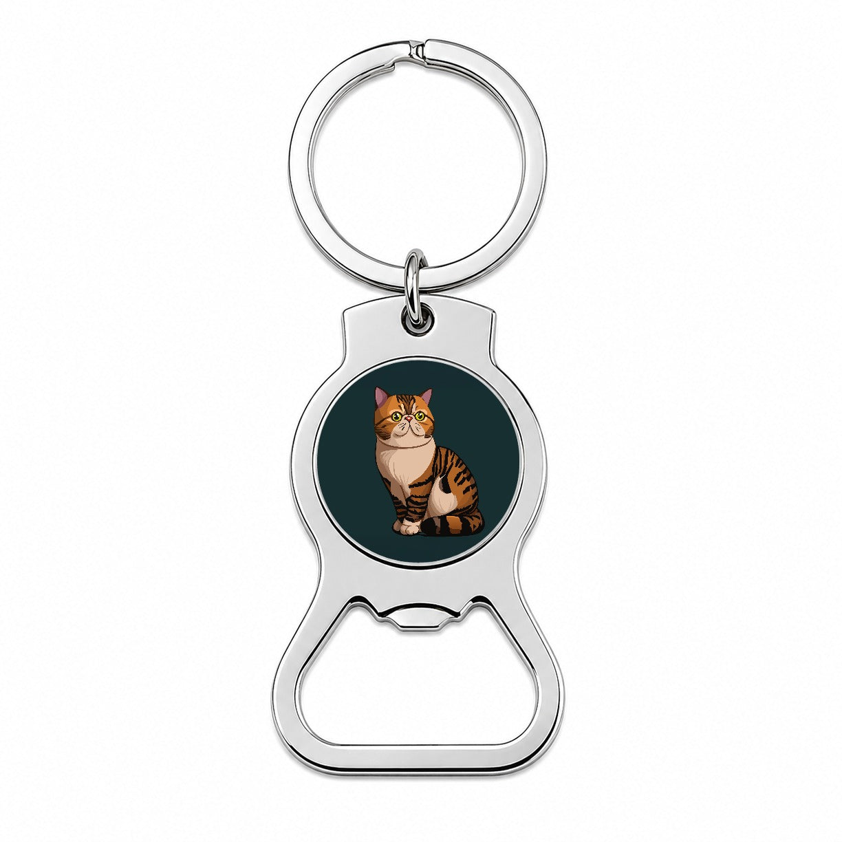 Exotic Shorthair Cat Sitting Bottle Opener Keychain