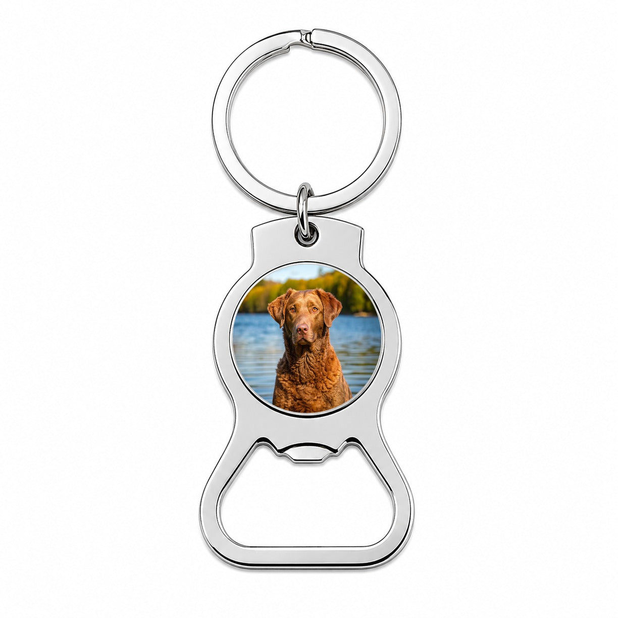 Chesapeake Bay Retriever Dog Photo Bottle Opener Keychain