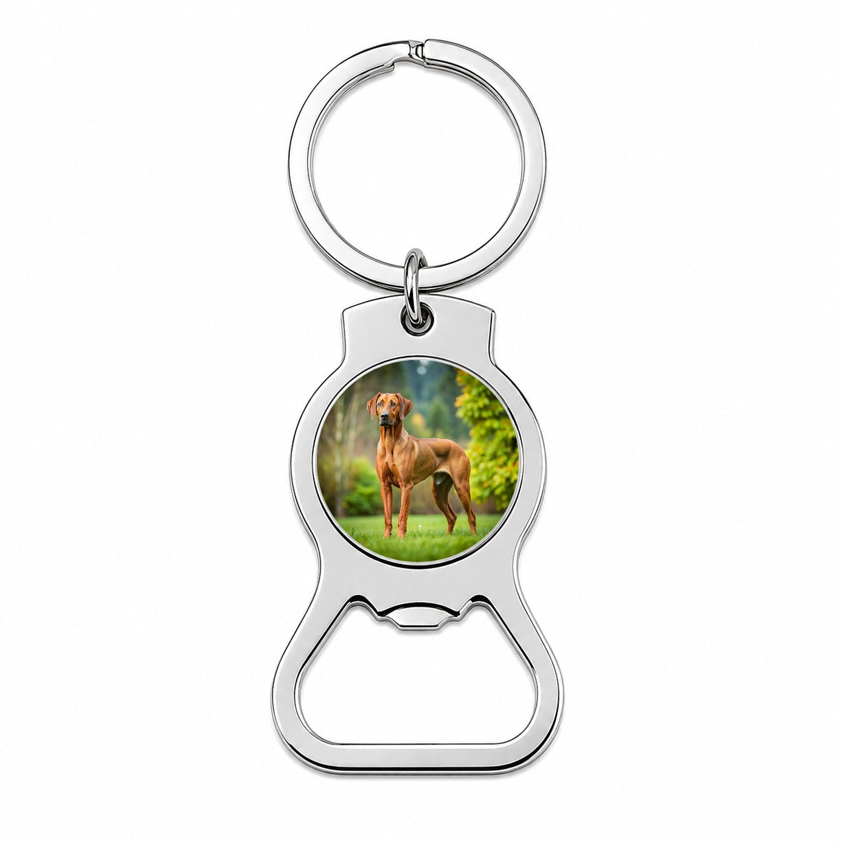 Rhodesian Ridgeback Dog Photo Bottle Opener Keychain