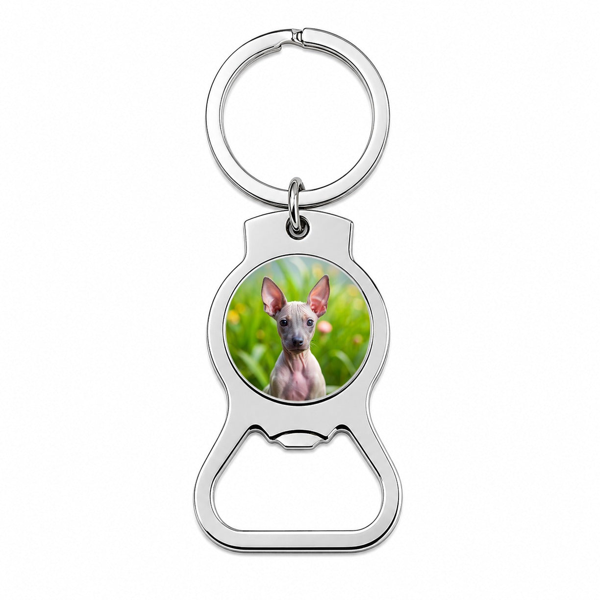 American Hairless Terrier Dog Puppy Photo Bottle Opener Keychain