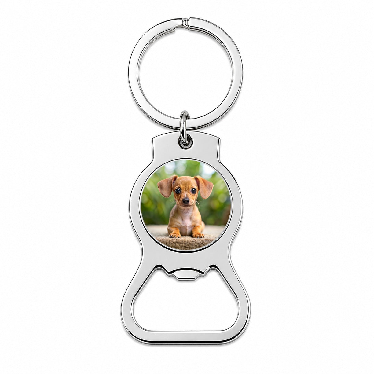 Chiweenie Dog Puppy Photo Bottle Opener Keychain
