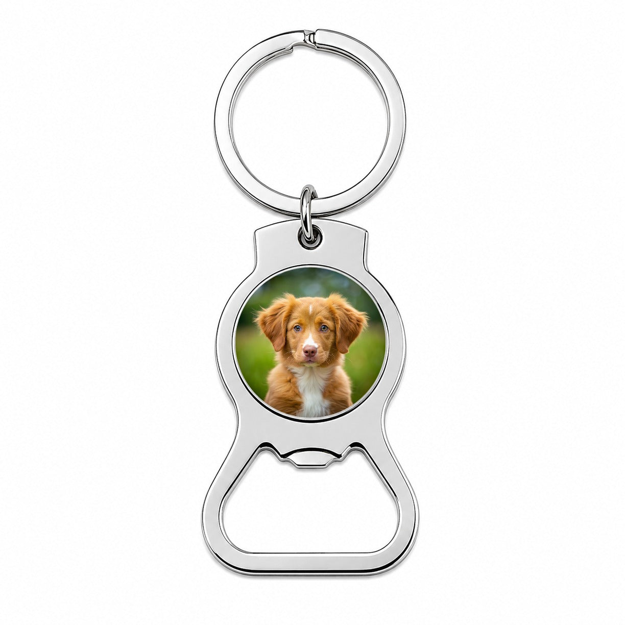 Nova Scotia Duck Tolling Retriever Dog Puppy Photo Bottle Opener Keychain