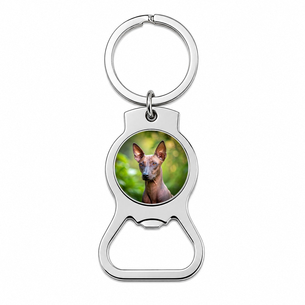 Xoloitzcuintli Xolo Mexican Hairless Dog Photo Bottle Opener Keychain