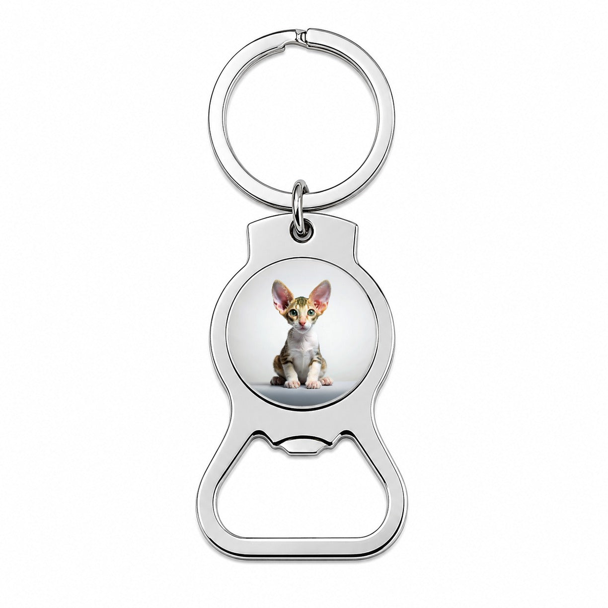 Cornish Rex Cat Kitten Photo Bottle Opener Keychain
