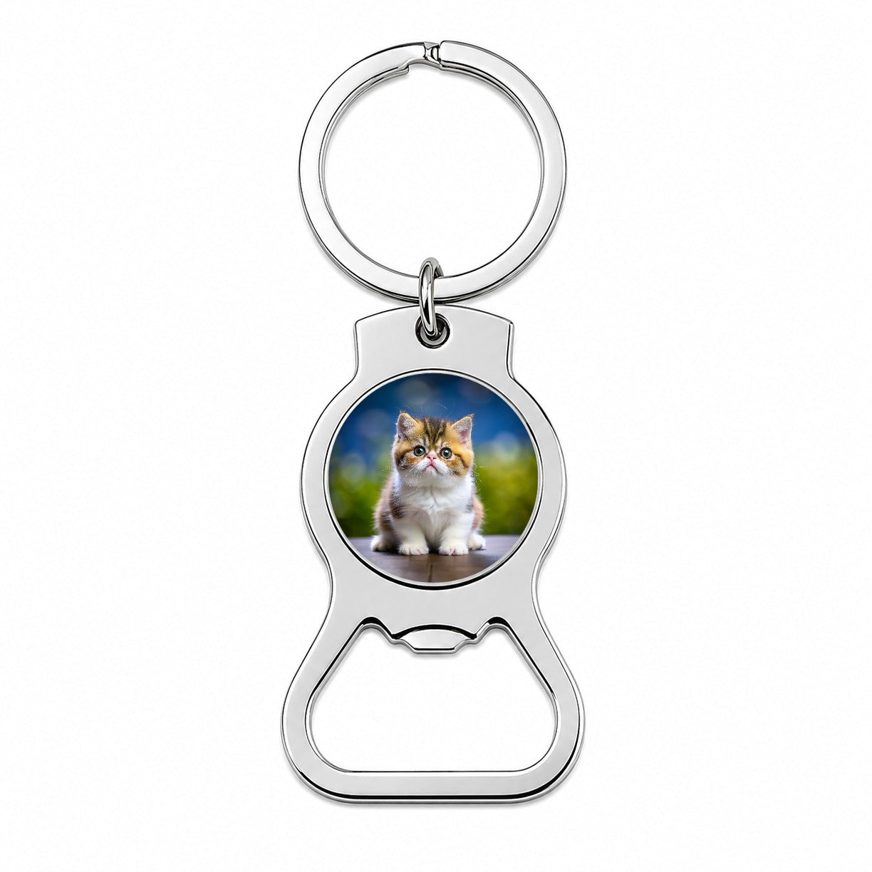 Exotic Shorthair Cat Kitten Photo Bottle Opener Keychain